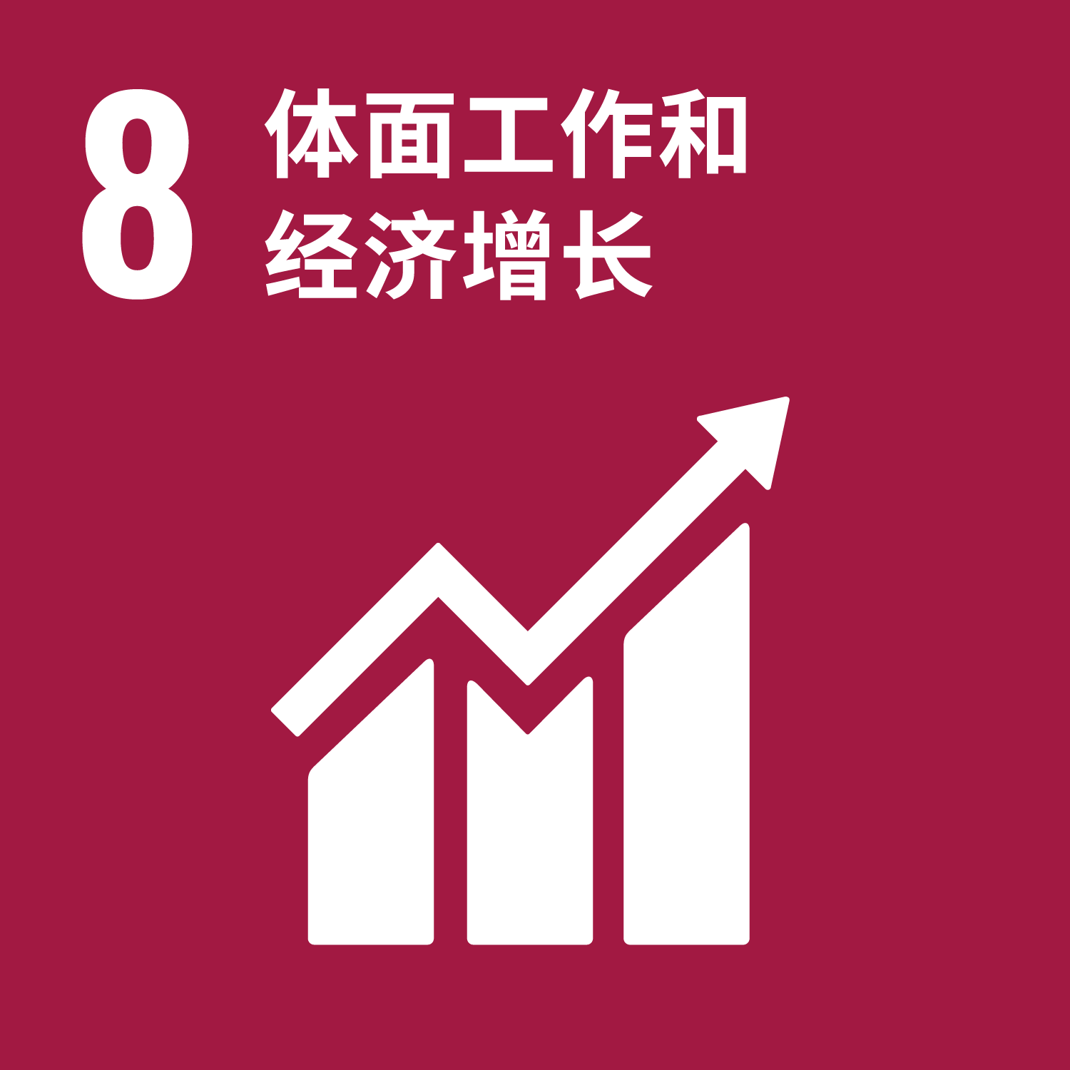 可持续发展目标 8：体面工作和经济增长