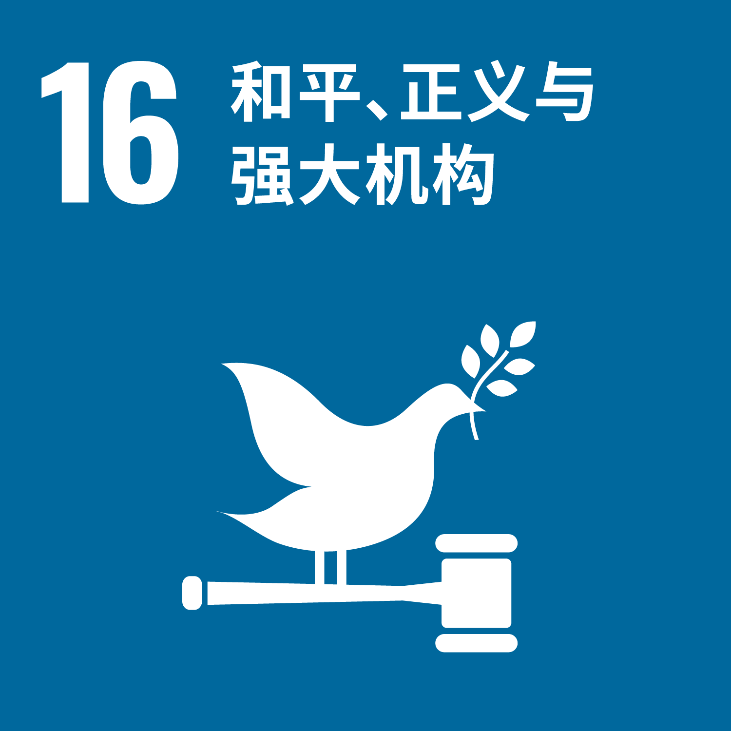 可持续发展目标 16：和平、正义与强大机构