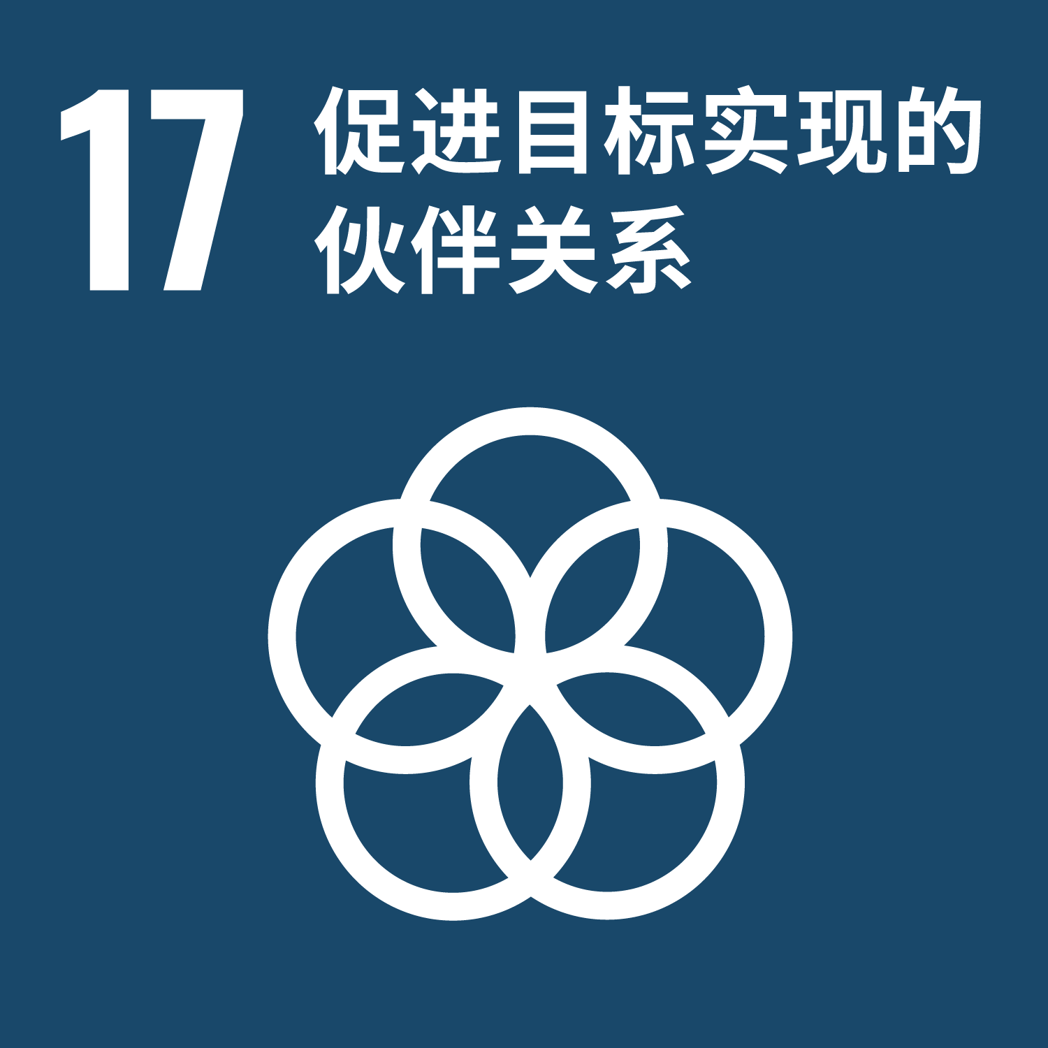 可持续发展目标 17：促进目标实现的伙伴关系